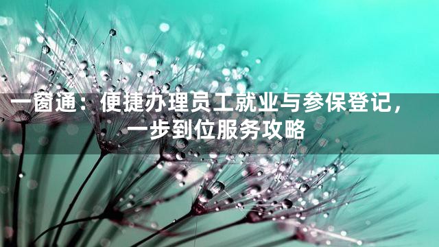 一窗通：便捷办理员工就业与参保登记，一步到位服务攻略