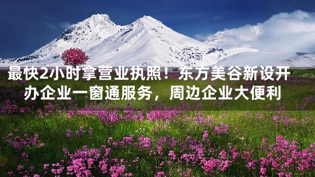 最快2小时拿营业执照！东方美谷新设开办企业一窗通服务，周边企业大便利
