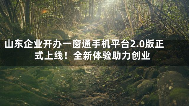 山东企业开办一窗通手机平台2.0版正式上线！全新体验助力创业