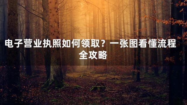 电子营业执照如何领取？一张图看懂流程全攻略