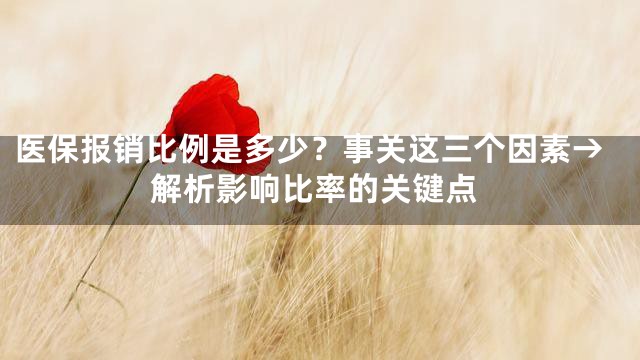 医保报销比例是多少？事关这三个因素→解析影响比率的关键点