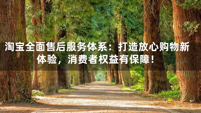 淘宝全面售后服务体系：打造放心购物新体验，消费者权益有保障！