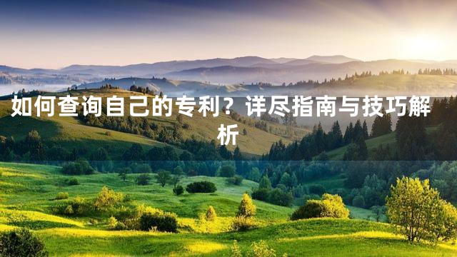 如何查询自己的专利？详尽指南与技巧解析
