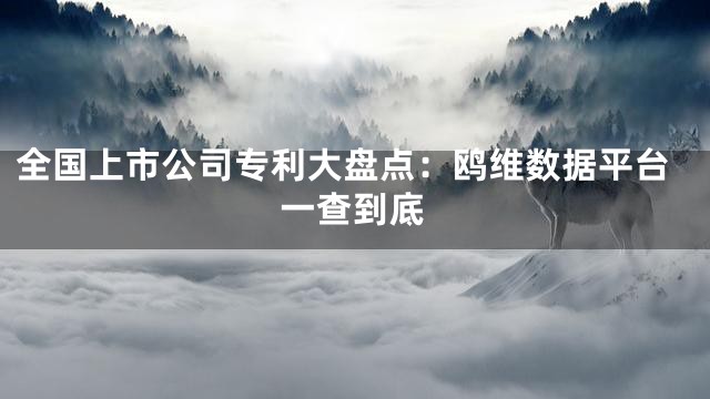 全国上市公司专利大盘点：鸥维数据平台一查到底