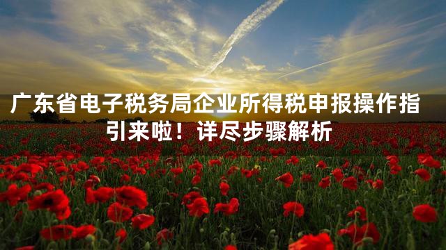 广东省电子税务局企业所得税申报操作指引来啦！详尽步骤解析
