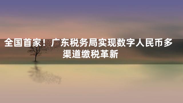 全国首家！广东税务局实现数字人民币多渠道缴税革新