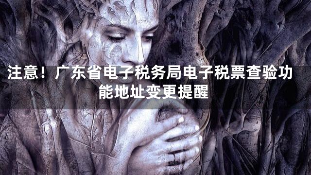 注意！广东省电子税务局电子税票查验功能地址变更提醒