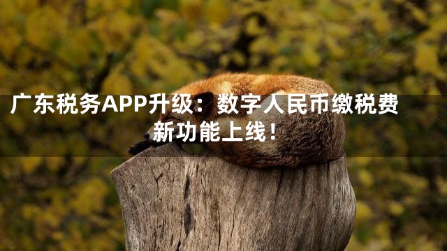 广东税务APP升级：数字人民币缴税费新功能上线！