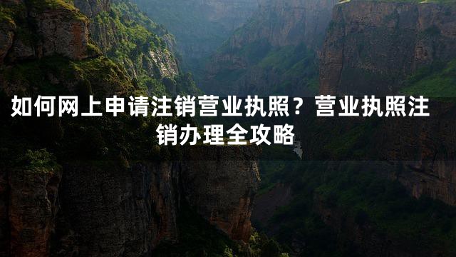 如何网上申请注销营业执照？营业执照注销办理全攻略