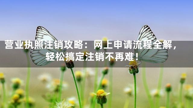 营业执照注销攻略：网上申请流程全解，轻松搞定注销不再难！