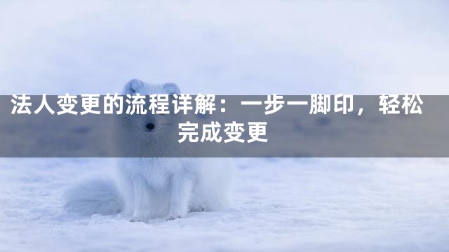 法人变更的流程详解：一步一脚印，轻松完成变更