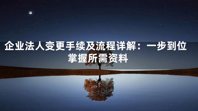 企业法人变更手续及流程详解：一步到位掌握所需资料