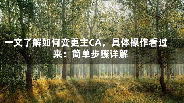 一文了解如何变更主CA，具体操作看过来：简单步骤详解