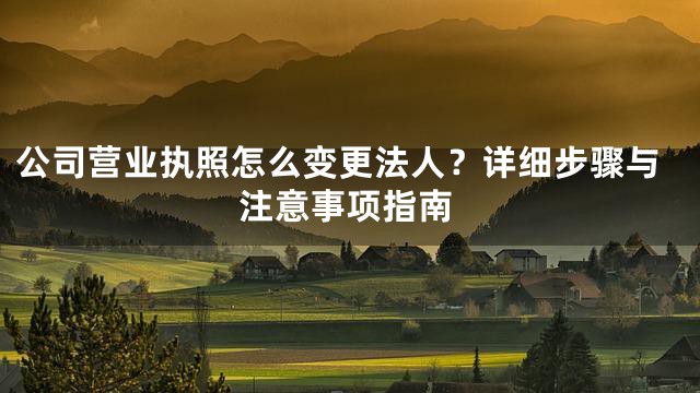 公司营业执照怎么变更法人？详细步骤与注意事项指南