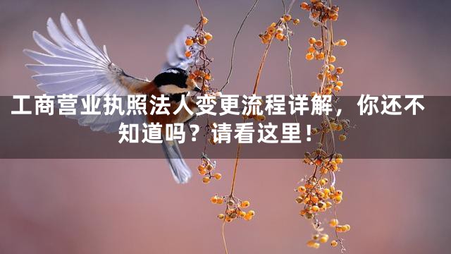 工商营业执照法人变更流程详解，你还不知道吗？请看这里！