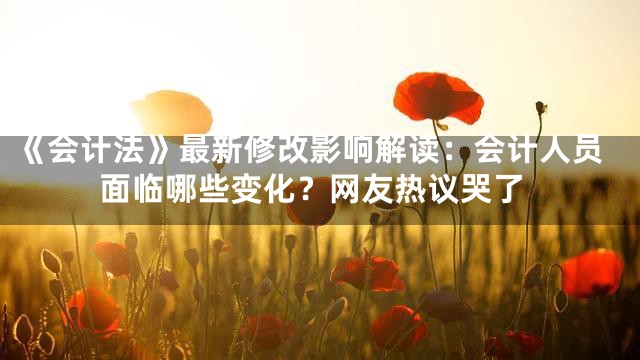 《会计法》最新修改影响解读：会计人员面临哪些变化？网友热议哭了