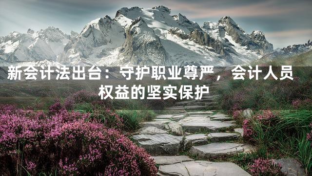 新会计法出台：守护职业尊严，会计人员权益的坚实保护