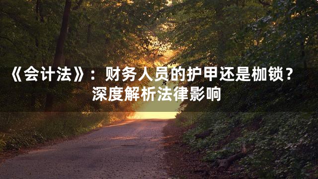 《会计法》：财务人员的护甲还是枷锁？深度解析法律影响