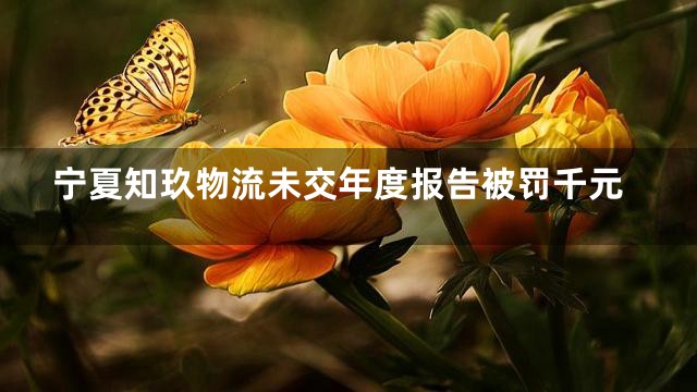 宁夏知玖物流未交年度报告被罚千元