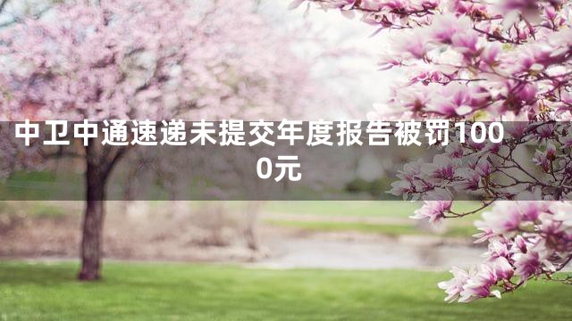 中卫中通速递未提交年度报告被罚1000元
