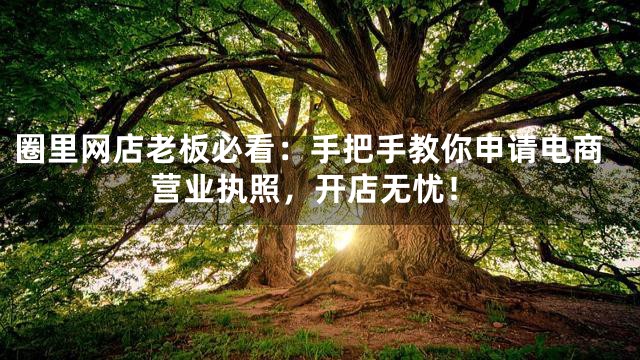 圈里网店老板必看：手把手教你申请电商营业执照，开店无忧！