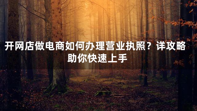 开网店做电商如何办理营业执照？详攻略助你快速上手