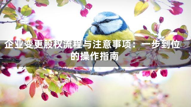 企业变更股权流程与注意事项：一步到位的操作指南