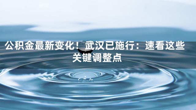 公积金最新变化！武汉已施行：速看这些关键调整点