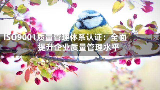 ISO9001质量管理体系认证：全面提升企业质量管理水平