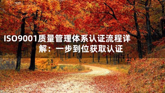 ISO9001质量管理体系认证流程详解：一步到位获取认证