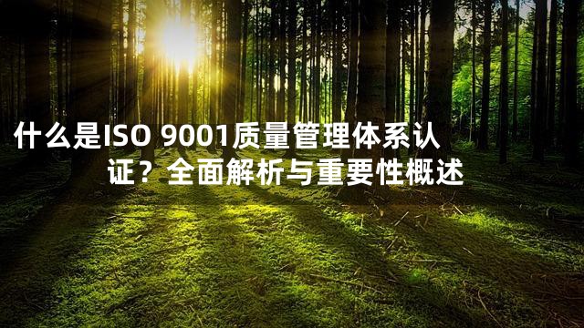 什么是ISO 9001质量管理体系认证？全面解析与重要性概述