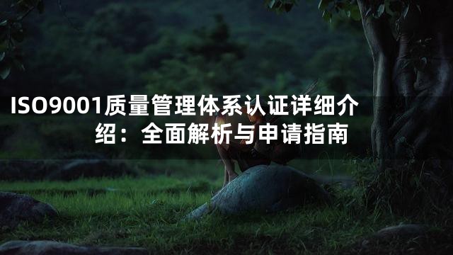 ISO9001质量管理体系认证详细介绍：全面解析与申请指南