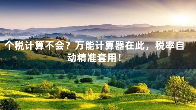 个税计算不会？万能计算器在此，税率自动精准套用！