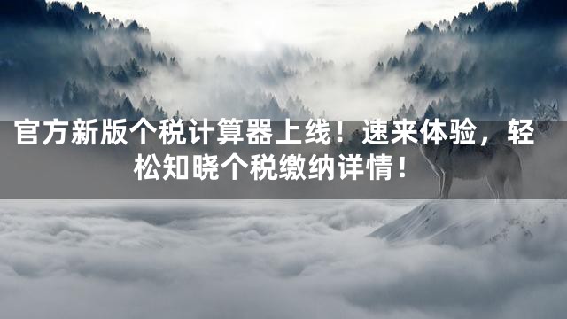 官方新版个税计算器上线！速来体验，轻松知晓个税缴纳详情！