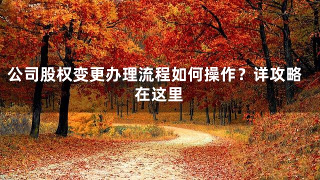 公司股权变更办理流程如何操作？详攻略在这里