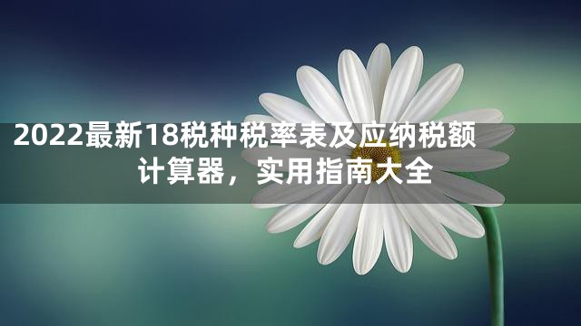 2022最新18税种税率表及应纳税额计算器，实用指南大全