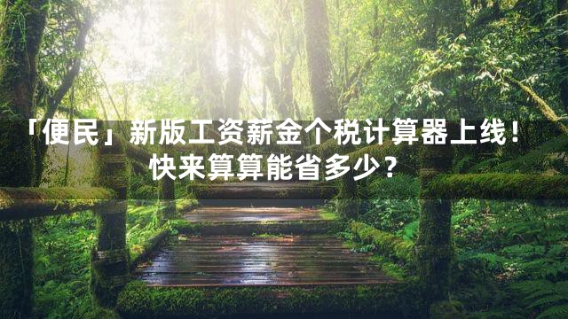 「便民」新版工资薪金个税计算器上线！快来算算能省多少？