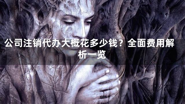 公司注销代办大概花多少钱？全面费用解析一览