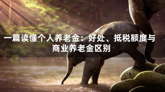 一篇读懂个人养老金：好处、抵税额度与商业养老金区别