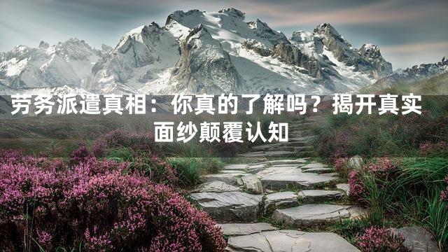 劳务派遣真相：你真的了解吗？揭开真实面纱颠覆认知
