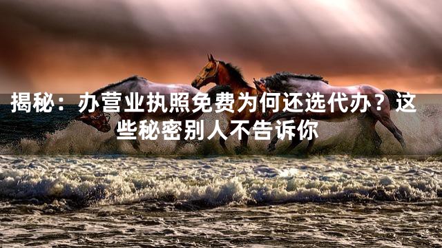 揭秘：办营业执照免费为何还选代办？这些秘密别人不告诉你