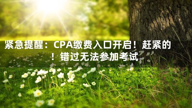 紧急提醒：CPA缴费入口开启！赶紧的！错过无法参加考试