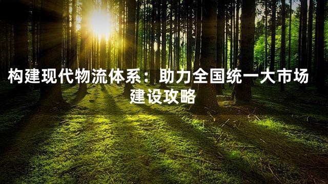构建现代物流体系：助力全国统一大市场建设攻略