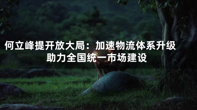 何立峰提开放大局：加速物流体系升级 助力全国统一市场建设