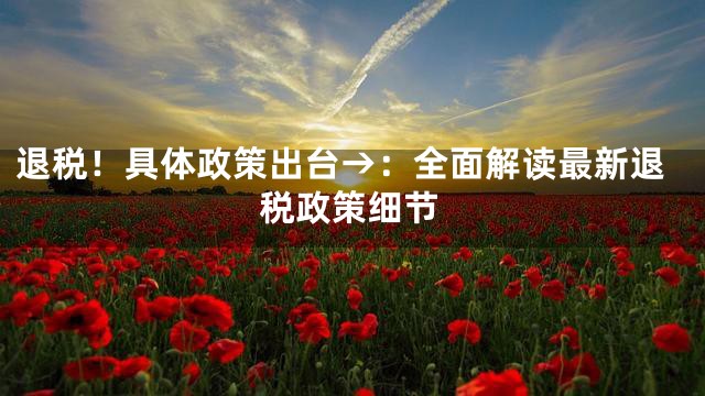 退税！具体政策出台→：全面解读最新退税政策细节