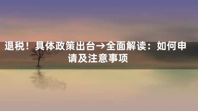 退税！具体政策出台→全面解读：如何申请及注意事项