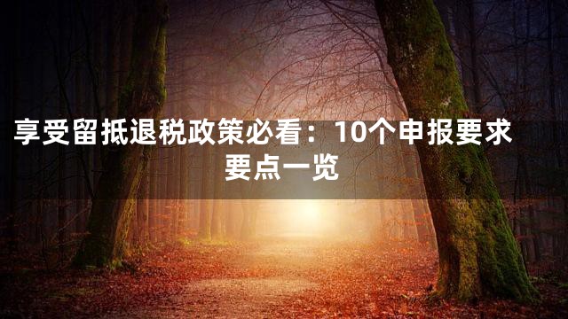 享受留抵退税政策必看：10个申报要求要点一览