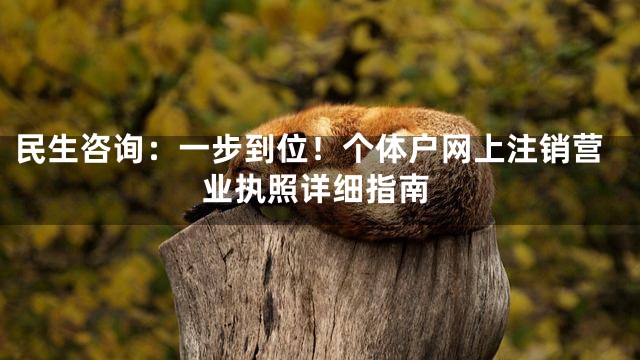 民生咨询：一步到位！个体户网上注销营业执照详细指南