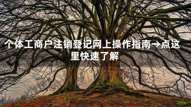 个体工商户注销登记网上操作指南→点这里快速了解