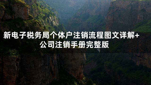 新电子税务局个体户注销流程图文详解+公司注销手册完整版
